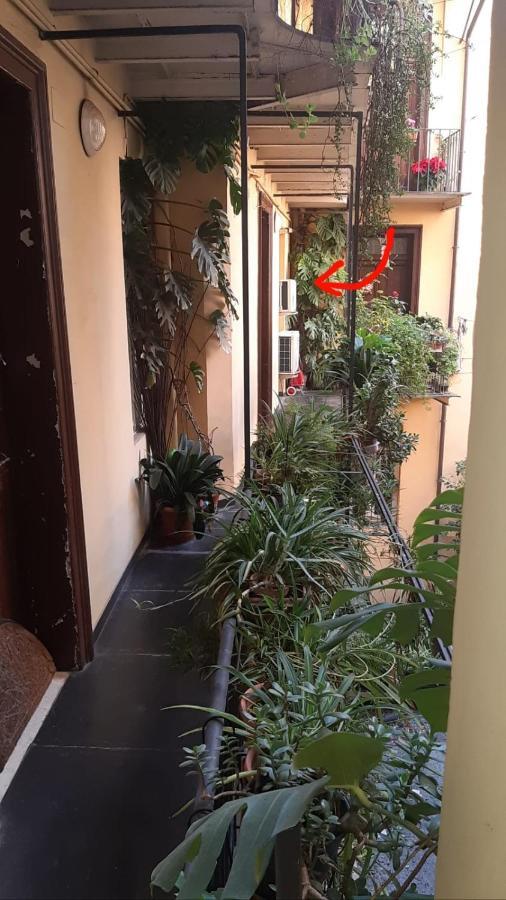 Charme De Rome Vatican Apartment Eksteriør bilde